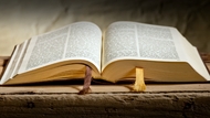 Niedziela biblijna i Narodowe Czytanie Pisma Świętego